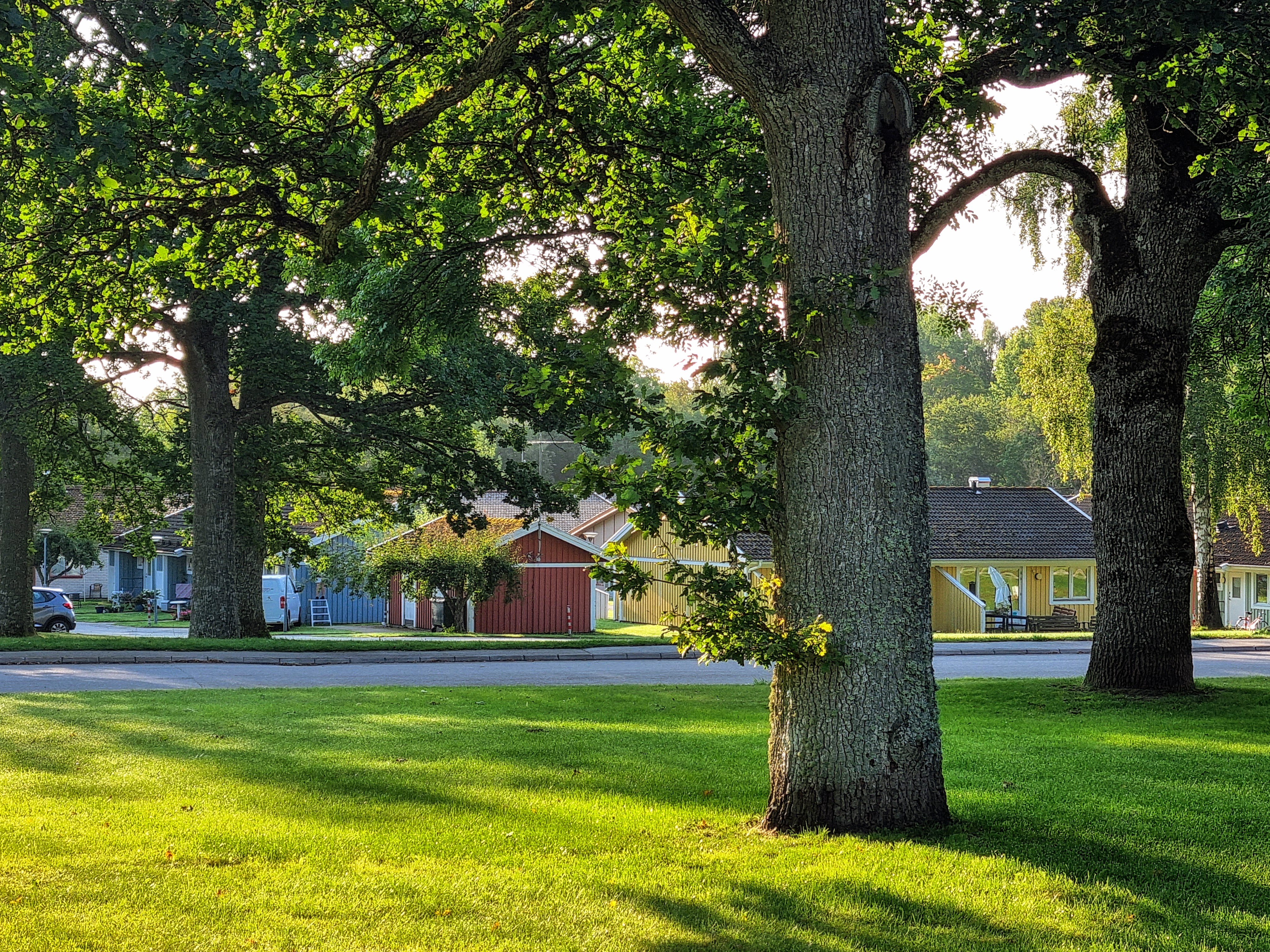 Fastigheter bland grönskande träd